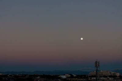 soku_21491.jpg :: 満月 中秋 月の入り 空 風景 