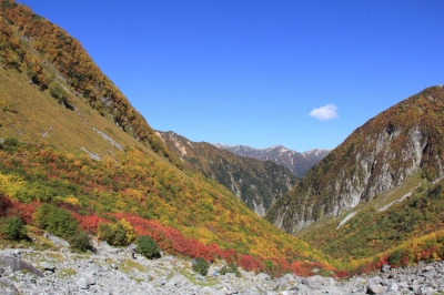 soku_21517.jpg :: 風景 自然 紅葉 山の紅葉 