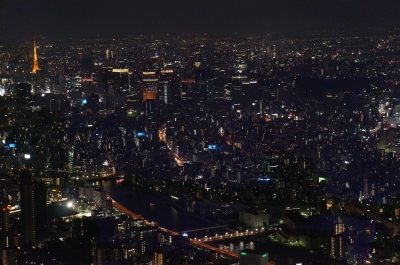 soku_21570.jpg :: 風景 街並み 都市の風景 夜景 建築 建造物 塔 タワー 東京タワー 