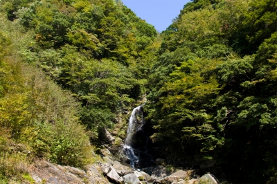 soku_21695.jpg :: 風景 自然 滝 