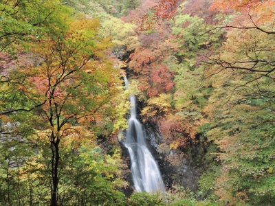 soku_21905.jpg :: PowerShotS95 風景 自然 水分 コンデジ埼玉 lock 滝 小中大滝 紅葉 赤い紅葉 黄色い紅葉 