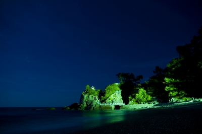 soku_21936.jpg :: 風景 自然 海 桂浜 夜景 