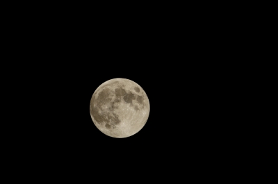 soku_21941.jpg :: 今夜の月 風景 自然 天体 月 満月 