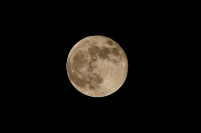 soku_21967.jpg :: 風景 自然 天体 月 満月 換算1260㎜ ノートリ 