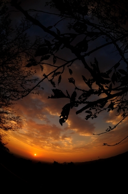 soku_22044.jpg :: 風景 自然 空 朝日 朝焼け 日の出 