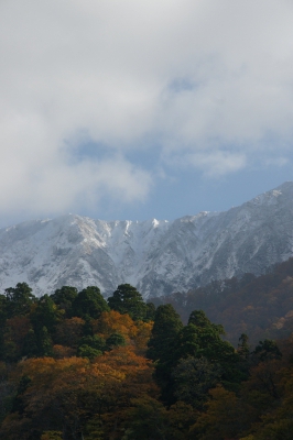 soku_22136.jpg :: 大山 風景 自然 紅葉 山の紅葉 