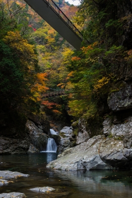 soku_22349.jpg :: 風景 自然 川 渓谷 紅葉 水分 
