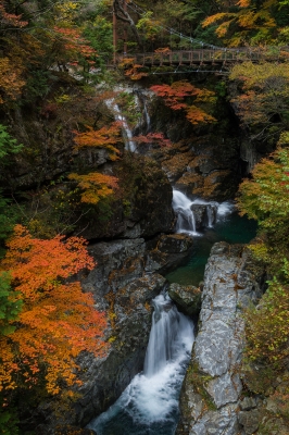 soku_22350.jpg :: 風景 自然 川 渓谷 紅葉 水分 