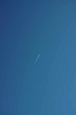 soku_22404.jpg :: 風景 自然 空 飛行機雲 