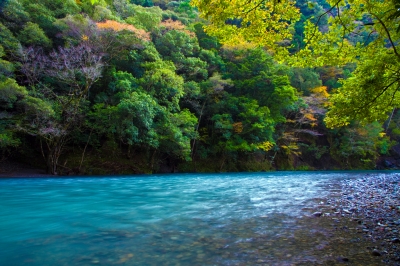 soku_22583.jpg :: 風景 自然 川 渓流 紅葉 