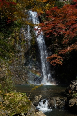soku_22741.jpg :: 風景 自然 滝 