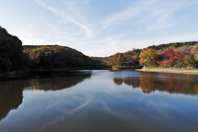 soku_22749.jpg :: PowerShotS95 風景 自然 水分 コンデジ埼玉 lock 湖 八丁湖 紅葉 黄色い紅葉 赤い紅葉 