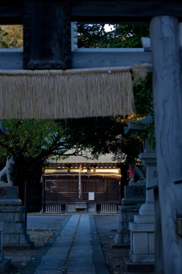 soku_23047.jpg :: 建築 建造物 神社 鳥居 