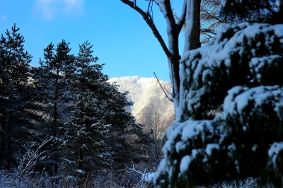 soku_23093.jpg :: 風景 自然 雪景色 雪山 