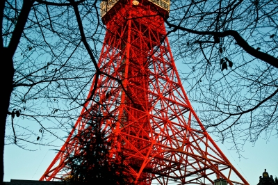 soku_23274.jpg :: 建築 建造物 塔 タワー 東京タワー 