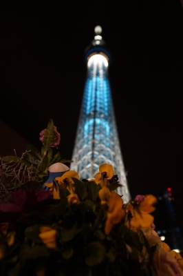 soku_23690.jpg :: 建築 建造物 塔 タワー 東京スカイツリー 