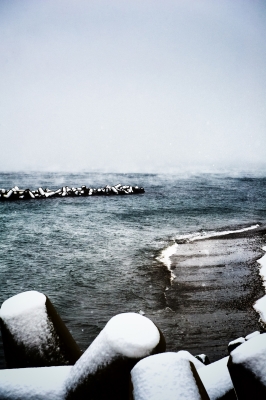 soku_23798.jpg :: 風景 自然 雪 海 