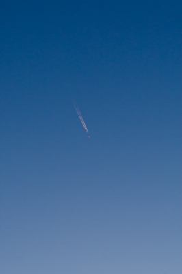 soku_23992.jpg :: 風景 自然 空 飛行機雲 夕焼け 