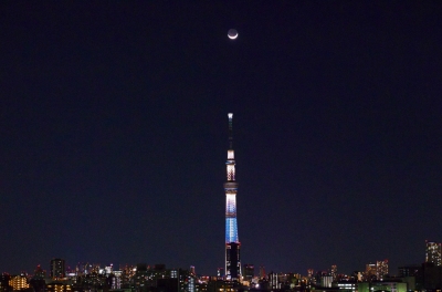 soku_24438.jpg :: 建築 建造物 塔 タワー 東京スカイツリー 月 