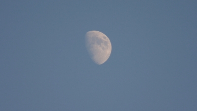soku_24805.jpg :: 風景 自然 天体 月 