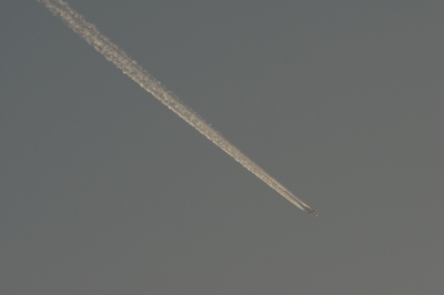 soku_24819.jpg :: 風景 自然 空 飛行機雲 