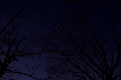 soku_24848.jpg :: 風景 自然 天体 星座 オリオン座 