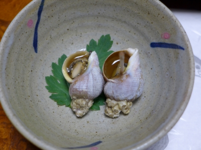 soku_25068.jpg :: 食べ物 和食 貝類 つぶ貝 