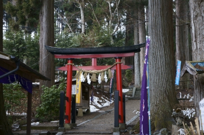 soku_25295.jpg :: 神社 