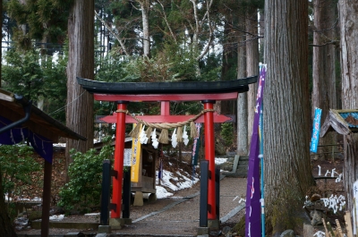 soku_25297.jpg :: 神社 