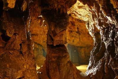 soku_25363.jpg :: 風景 自然 洞窟 鍾乳洞 