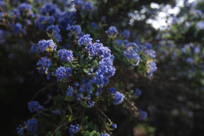 soku_25408.jpg :: Tokina AT.X 124 PRO DX II 12.24mm F4 ズーム端 