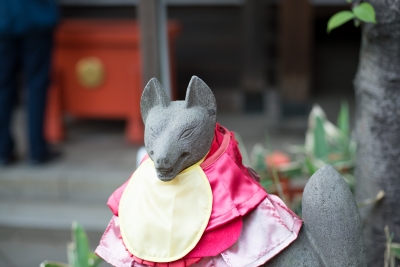 soku_25534.jpg :: 建築 建造物 神社 狛犬 狐 