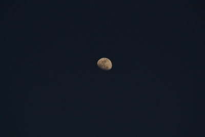 soku_25557.jpg ::  風景 自然 天体 月 