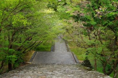soku_25817.jpg :: 階段 石段 寺社仏閣 五台山 竹林寺 