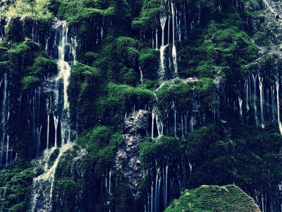 soku_26059.jpg :: PowerShotG15 風景 自然 水分 コンデジ埼玉 lock 植物 その他 苔 コケ ○ナクール愛知風の色調で攻めてみました。似てねぇーかw 白水の滝 