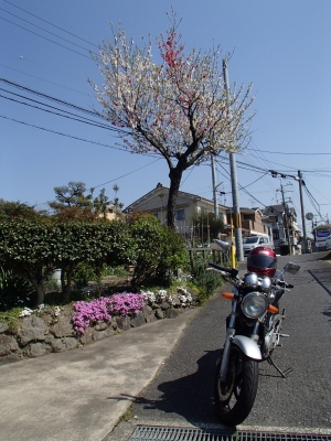 soku_26166.jpg :: 乗り物 交通 自動車 オートバイ バイク 