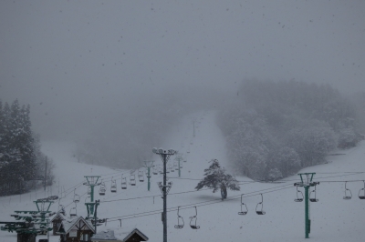 soku_26260.jpg :: スキー場 吹雪 