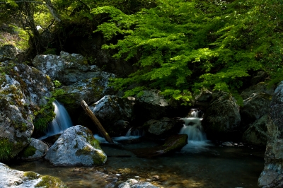 soku_26434.jpg :: 風景 自然 川 渓谷 スローシャッター 