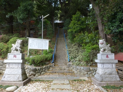 soku_26456.jpg :: 建築 建造物 神社 白鬚神社 