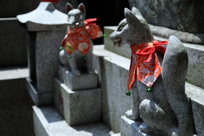 soku_26791.jpg :: 建築 建造物 神社 狛犬 