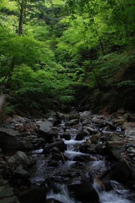 soku_26829.jpg :: 風景 自然 川 渓谷 