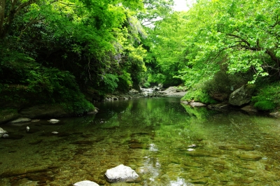 soku_26877.jpg :: 風景 自然 川 渓谷 