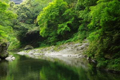 soku_26878.jpg :: 風景 自然 川 渓谷 