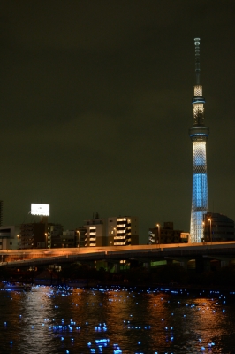 soku_26888.jpg :: 建築 建造物 塔 タワー 東京スカイツリー 夜景 