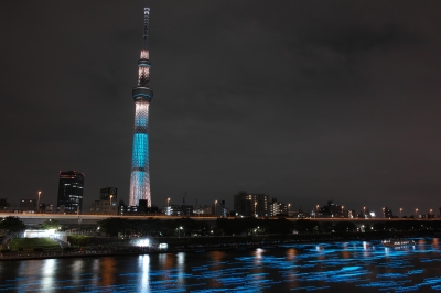 soku_26915.jpg :: 建築 建造物 塔 タワー 東京スカイツリー 夜景 