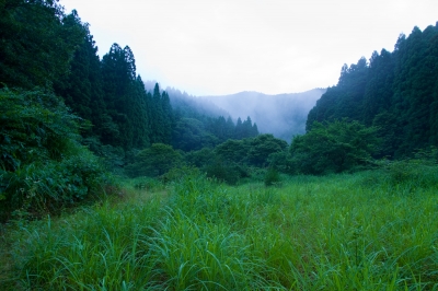 soku_27420.jpg :: 風景 自然 山 
