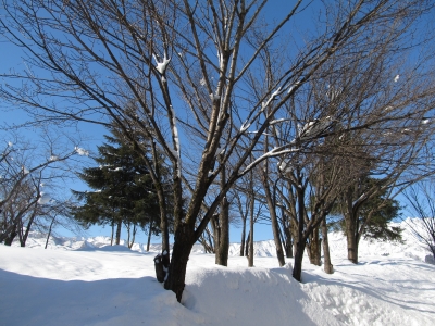 soku_27848.jpg :: 暑気払い 風景 自然 雪景色 