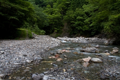 soku_27932.jpg :: グロ 観覧注意 風景 自然 川 渓谷 