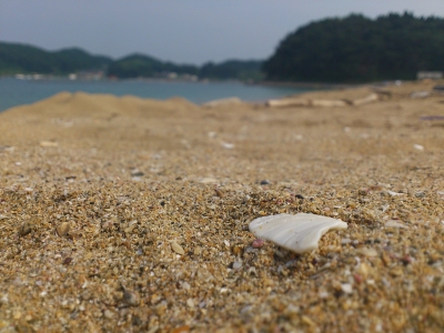 soku_28005.jpg :: 風景 自然 海 ビーチ 砂浜 