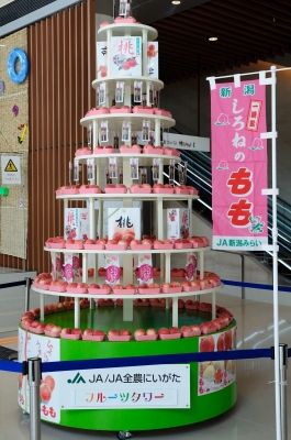 soku_28174.jpg :: 新潟 JA 白根 特産 桃 モモのフルーツタワー 
